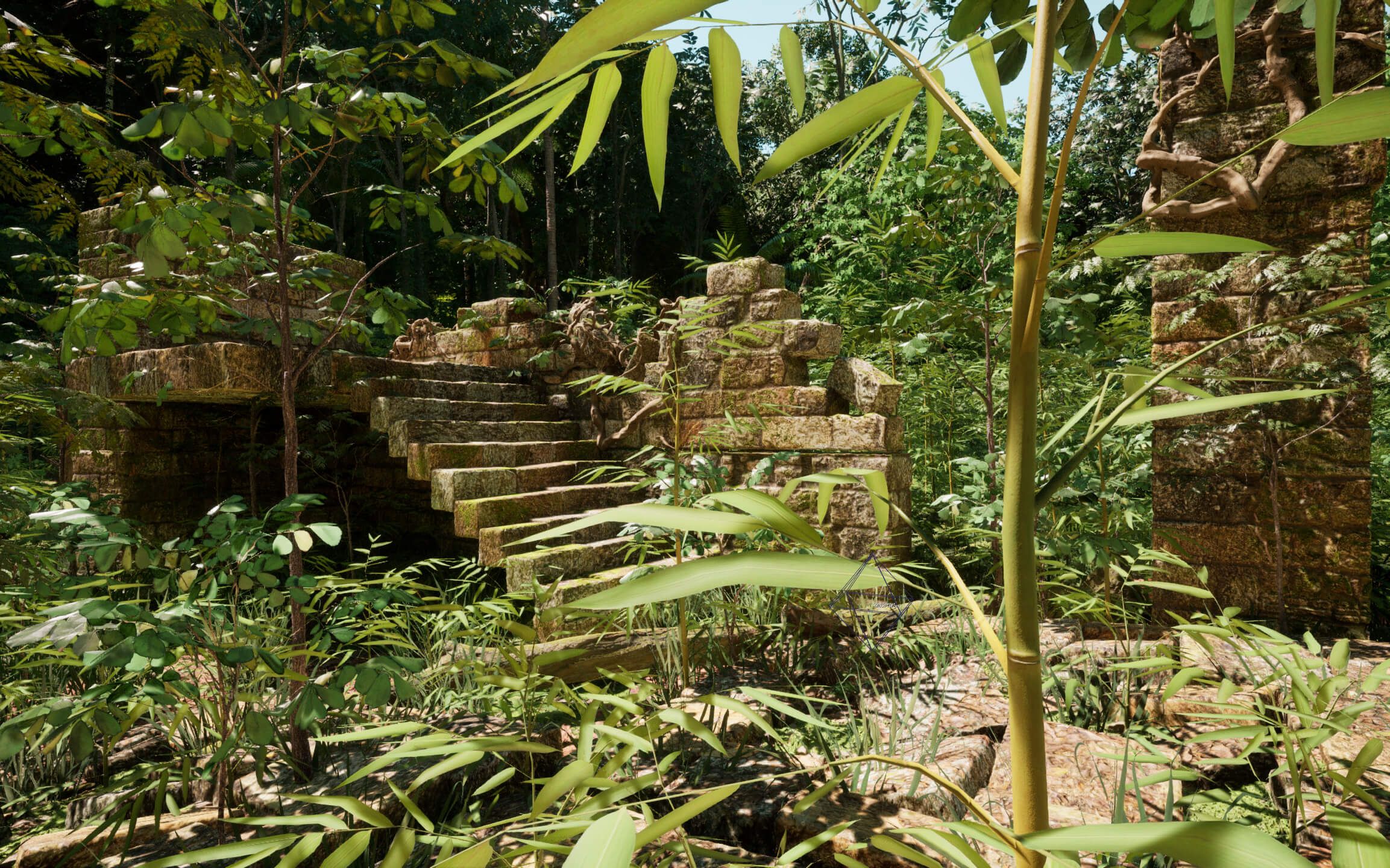 Overgrown Rubber Tree Plantation